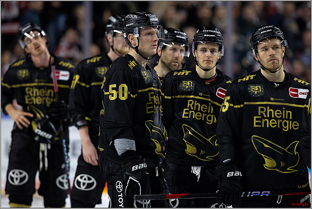 PENNY DEL;  Kölner Haie - ERC Ingolstadt; Köln, 25.11.2022